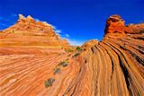 Cottonwood Cove