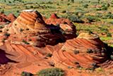 Cottonwood Cove