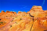 Cottonwood Cove
