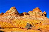 Cottonwood Cove