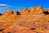 Cottonwood Cove