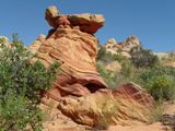 Cottonwood Cove