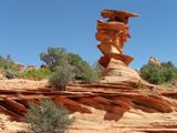 Cottonwood Cove