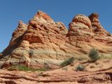 Cottonwood Cove