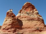 Cottonwood Cove
