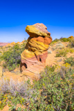 Cottonwood Cove