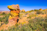 Cottonwood Cove