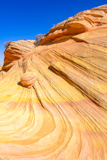 Southern Wave
