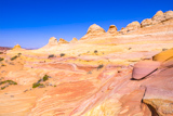 Cottonwood Cove
