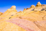 Cottonwood Cove