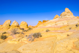 Cottonwood Cove