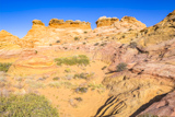 Cottonwood Cove