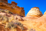 Cottonwood Cove