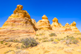 Cottonwood Cove