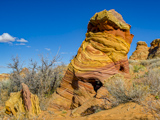 Cottonwood Cove