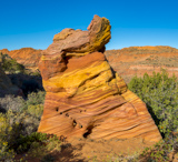 Cottonwood Cove
