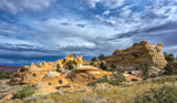 Cottonwood Cove