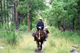 Balades à cheval dans le parc