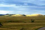 Vue depuis la Wild Life Loop Road