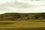 Photos/Images de Custer State Park