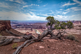 Meander Overlook