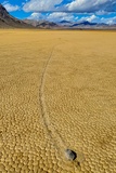 The Racetrack