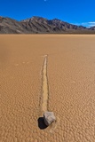 The Racetrack