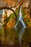 Darwin Falls