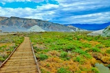 Salt Creek