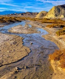 Salt Creek