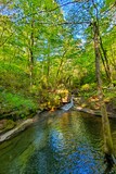 Azaela Cascade