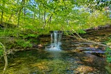 Photos/Images de DeSoto State Park