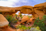 Mano Arch