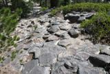 Devils Postpile National Monument