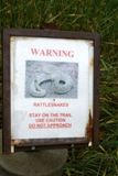 Attention aux serpents