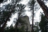 Tower Trail, bien ombragé
