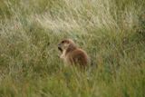 Photos/Images de Devils Tower National Monument