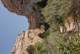 Hog Canyon