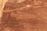 Cub Creek Petroglyphs