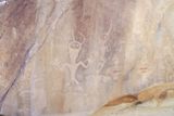 Swelter Shelter Petroglyphs Panel