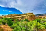 Turtle Rock