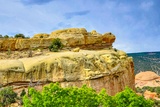 Turtle Rock