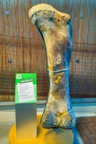Quarry Exhibit Hall