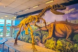 Quarry Exhibit Hall