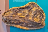 Quarry Exhibit Hall
