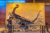 Quarry Exhibit Hall
