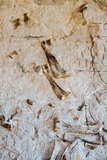 Quarry Exhibit Hall
