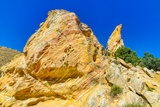 Fossil Discovery Trail