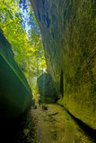 Dismals Canyon