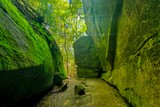 Photos/Images de Dismals Canyon